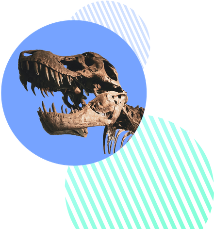 Lucera - Queremos luchar contra los dinosaurios